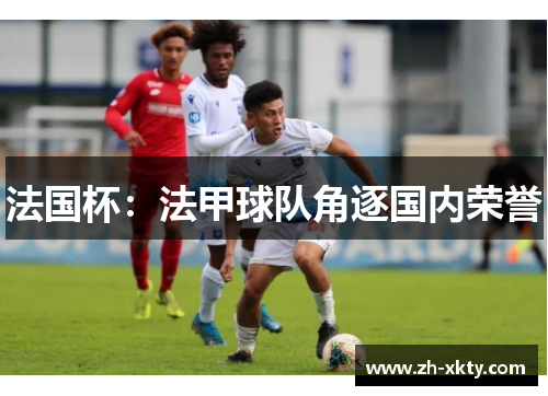 法国杯：法甲球队角逐国内荣誉